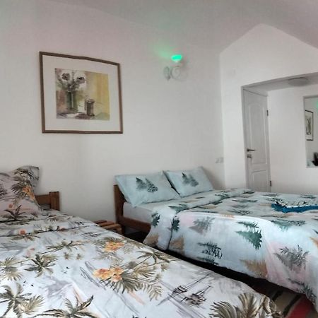 Doi Iepuri Apartman Azuga Kültér fotó