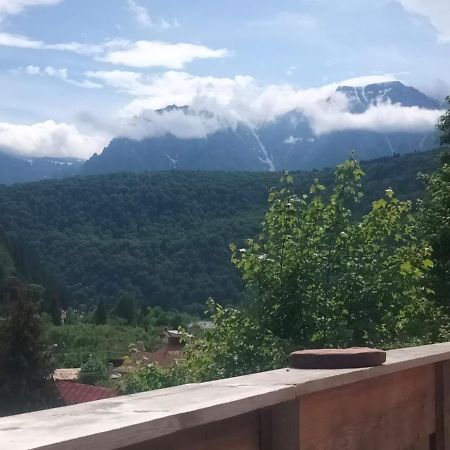 Doi Iepuri Apartman Azuga Kültér fotó