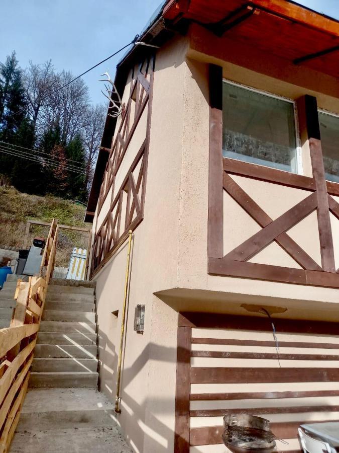 Doi Iepuri Apartman Azuga Kültér fotó