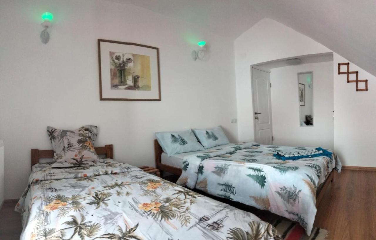 Doi Iepuri Apartman Azuga Kültér fotó