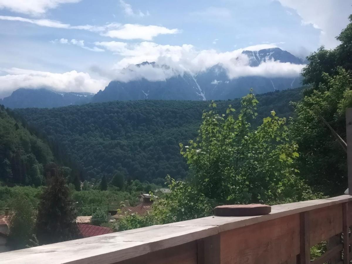 Doi Iepuri Apartman Azuga Kültér fotó